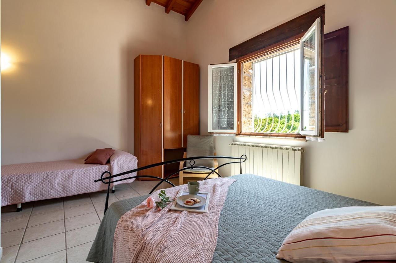 Villa Vacanze La Quercia Carbognano 외부 사진